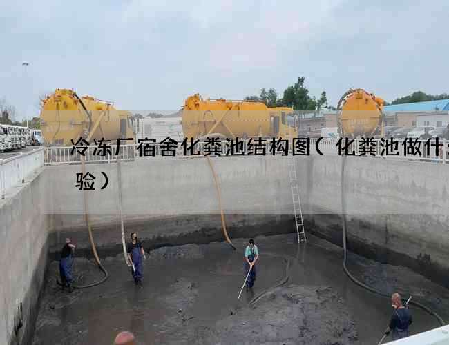 冷冻厂宿舍化粪池结构图(化粪池做什么试验)