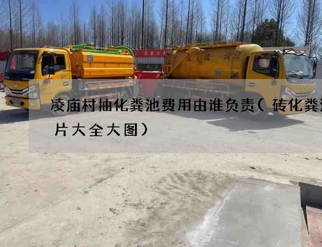 凌庙村抽化粪池费用由谁负责(砖化粪池图片大全大图)
