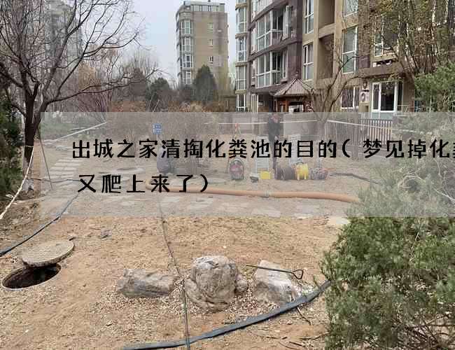 出城之家清掏化粪池的目的(梦见掉化粪池又爬上来了)