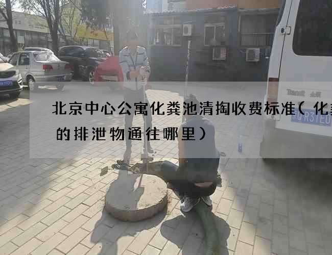 北京中心公寓化粪池清掏收费标准(化粪池的排泄物通往哪里)