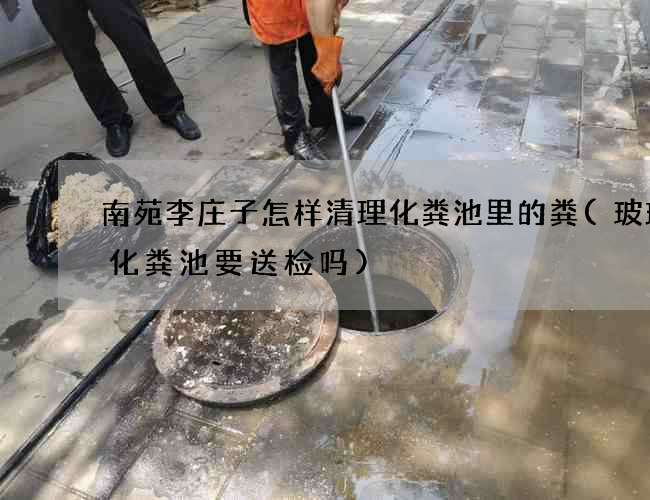 南苑李庄子怎样清理化粪池里的粪(玻璃钢化粪池要送检吗)