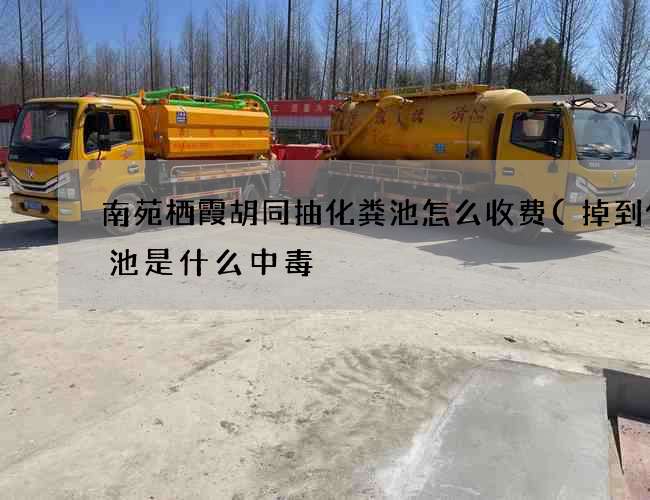 南苑栖霞胡同抽化粪池怎么收费(掉到化粪池是什么中毒) 南苑栖霞胡同抽化粪池怎么收费(掉到化粪池是什么中毒)