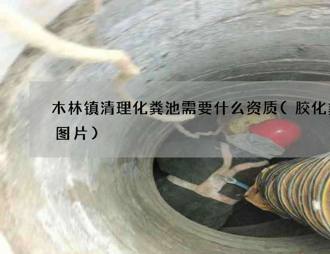 木林镇清理化粪池需要什么资质(胶化粪池图片)