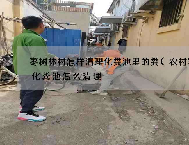 枣树林村怎样清理化粪池里的粪(农村家用化粪池怎么清理) 枣树林村怎样清理化粪池里的粪(农村家用化粪池怎么清理)
