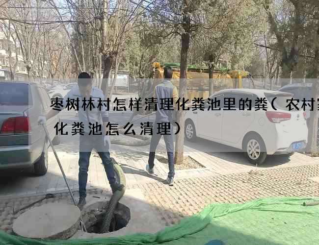 枣树林村怎样清理化粪池里的粪(农村家用化粪池怎么清理)