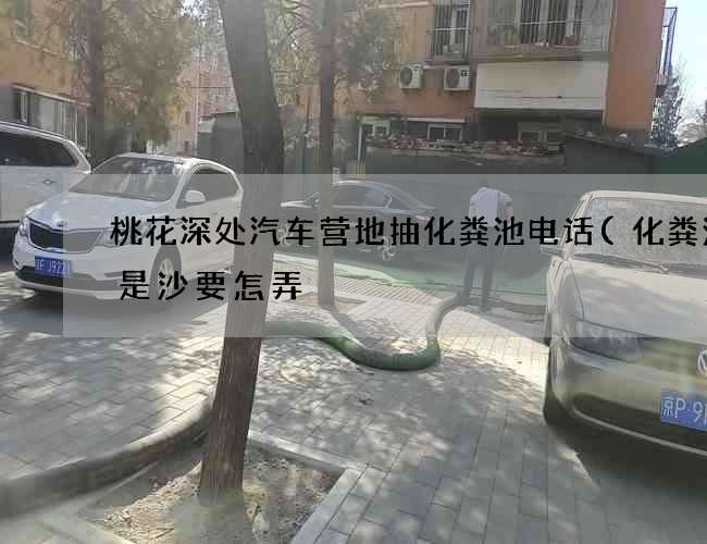 桃花深处汽车营地抽化粪池电话(化粪池全是沙要怎弄) 桃花深处汽车营地抽化粪池电话(化粪池全是沙要怎弄)