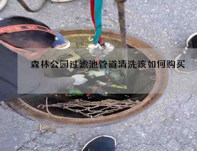 森林公园过滤池管道清洗该如何购买