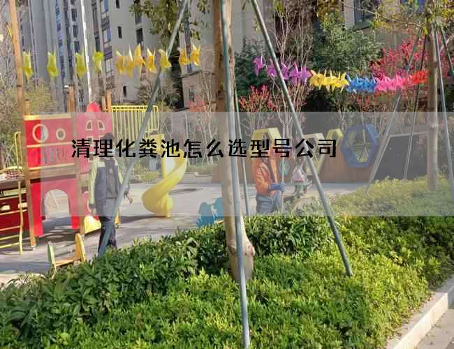 清理化粪池怎么选型号公司