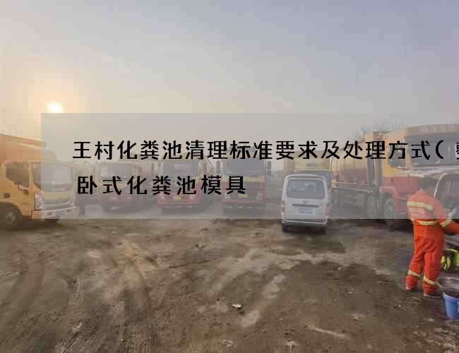 王村化粪池清理标准要求及处理方式(整体卧式化粪池模具) 王村化粪池清理标准要求及处理方式(整体卧式化粪池模具)