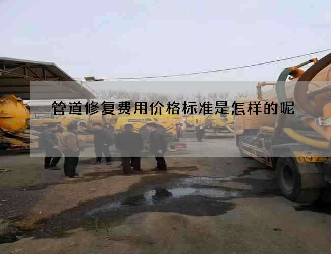 管道修复费用价格标准是怎样的呢 管道修复费用价格标准是怎样的呢