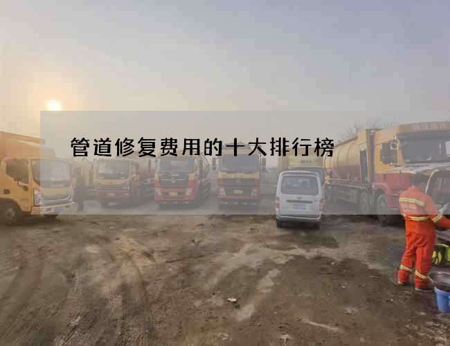 管道修复费用的十大排行榜