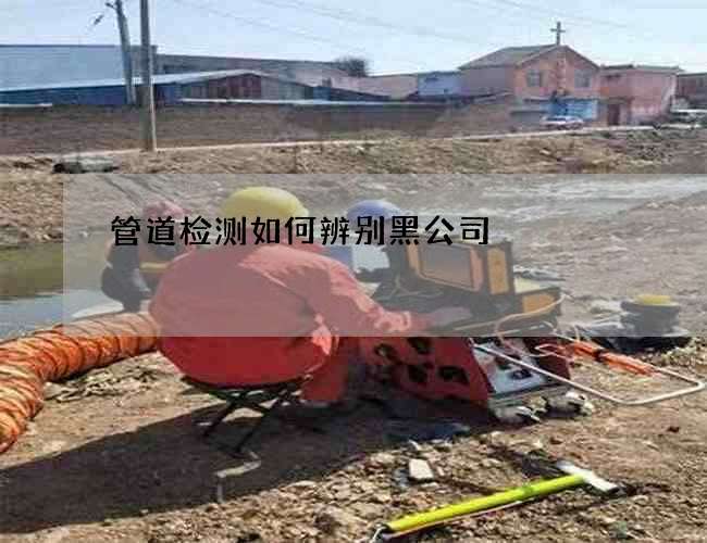 管道检测如何辨别黑公司