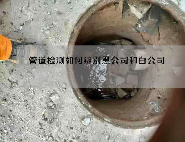 管道检测如何辨别黑公司和白公司