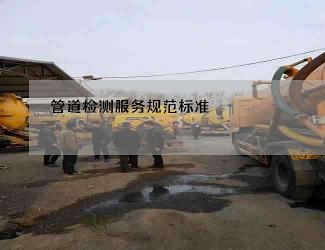 管道检测服务规范标准