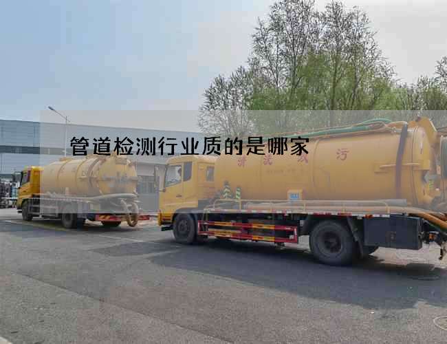 管道检测行业质的是哪家
