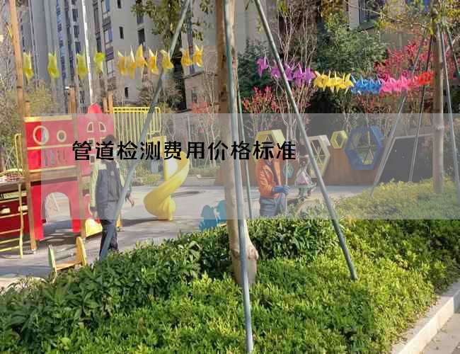 管道检测费用价格标准 管道检测费用价格标准