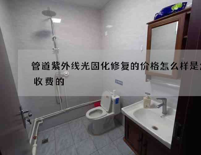 管道紫外线光固化修复的价格怎么样是怎么收费的
