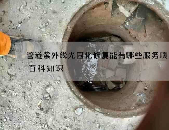 管道紫外线光固化修复能有哪些服务项目的百科知识