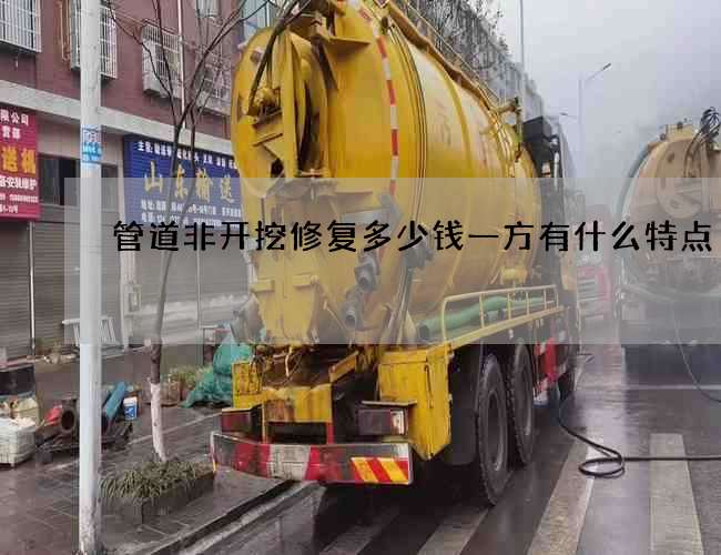 管道非开挖修复多少钱一方有什么特点 管道非开挖修复多少钱一方有什么特点