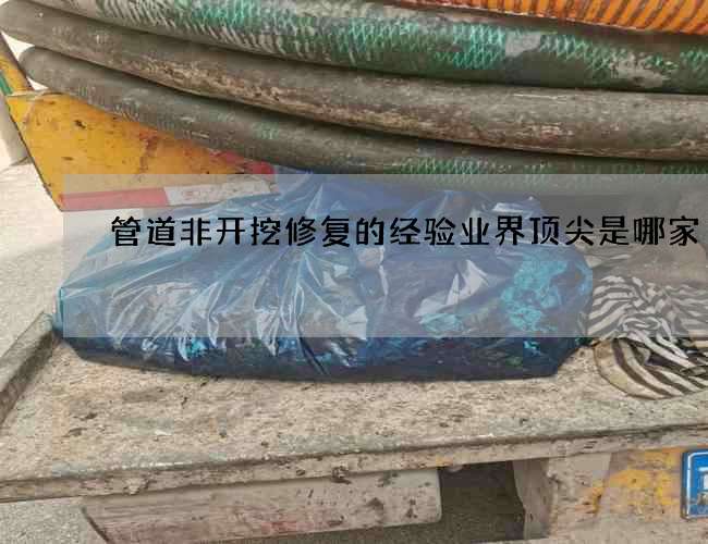 管道非开挖修复的经验业界顶尖是哪家