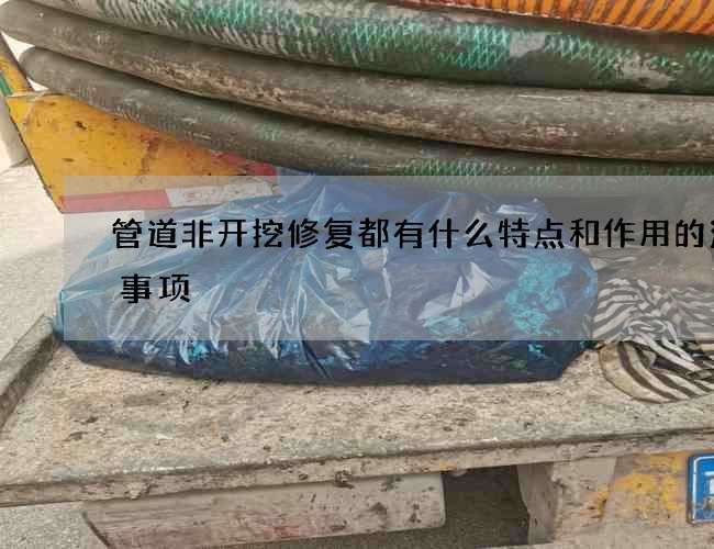 管道非开挖修复都有什么特点和作用的注意事项 管道非开挖修复都有什么特点和作用的注意事项