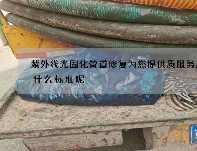 紫外线光固化管道修复为您提供质服务应看什么标准呢