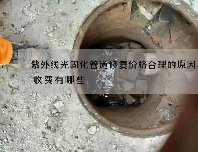 紫外线光固化管道修复价格合理的原因具体收费有哪些
