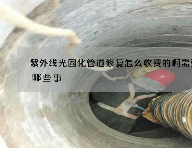紫外线光固化管道修复怎么收费的啊需要做哪些事