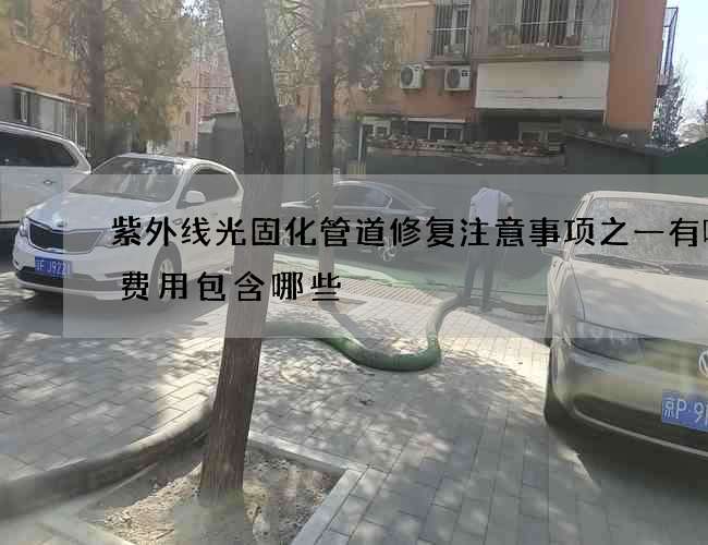 紫外线光固化管道修复注意事项之一有哪些费用包含哪些