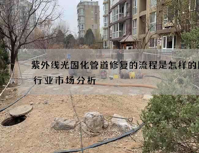 紫外线光固化管道修复的流程是怎样的图片行业市场分析