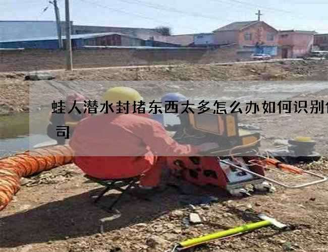 蛙人潜水封堵东西太多怎么办如何识别假公司