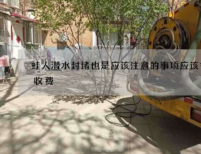 蛙人潜水封堵也是应该注意的事项应该如何收费 蛙人潜水封堵也是应该注意的事项应该如何收费