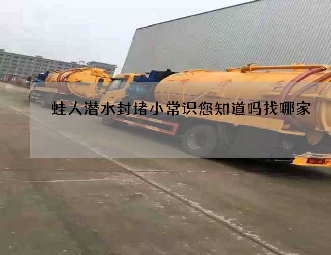 蛙人潜水封堵小常识您知道吗找哪家