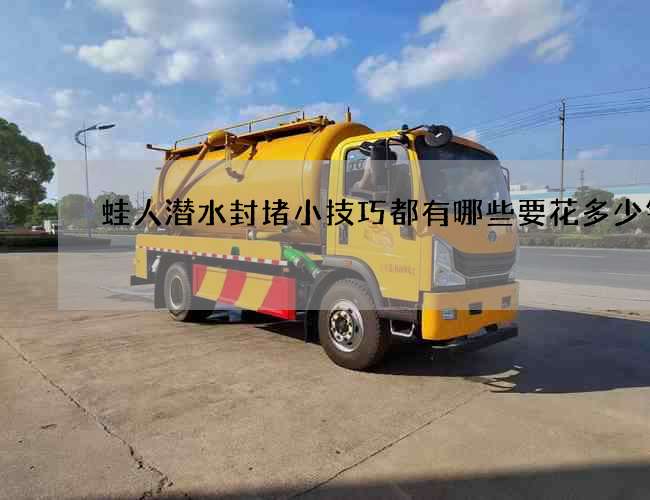 蛙人潜水封堵小技巧都有哪些要花多少钱呢