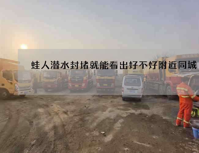 蛙人潜水封堵就能看出好不好附近同城