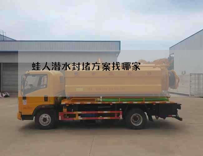 蛙人潜水封堵方案找哪家 蛙人潜水封堵方案找哪家