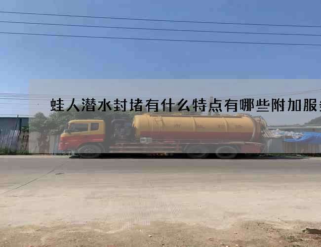 蛙人潜水封堵有什么特点有哪些附加服务