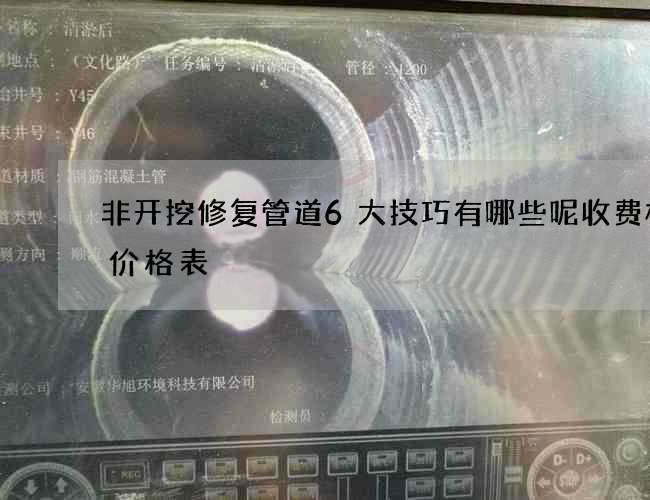非开挖修复管道6大技巧有哪些呢收费标准价格表