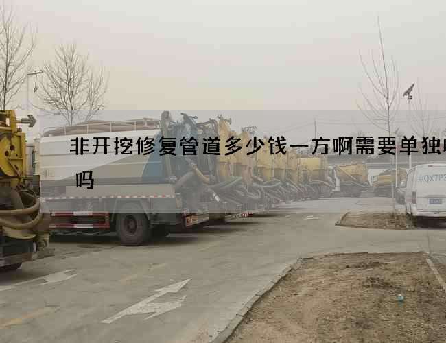 非开挖修复管道多少钱一方啊需要单独收费吗