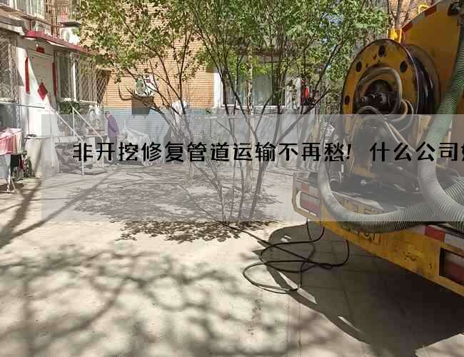 非开挖修复管道运输不再愁!什么公司好 非开挖修复管道运输不再愁!什么公司好
