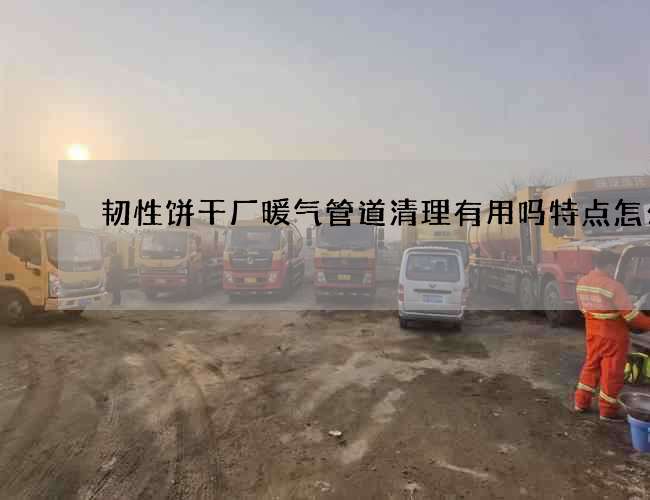 韧性饼干厂暖气管道清理有用吗特点怎么样