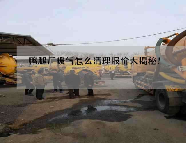 鸭腿厂暖气怎么清理报价大揭秘！