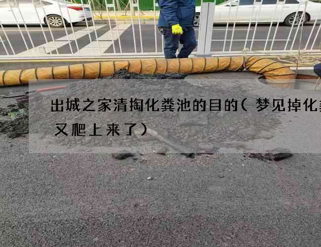 出城之家清掏化粪池的目的(梦见掉化粪池又爬上来了)
