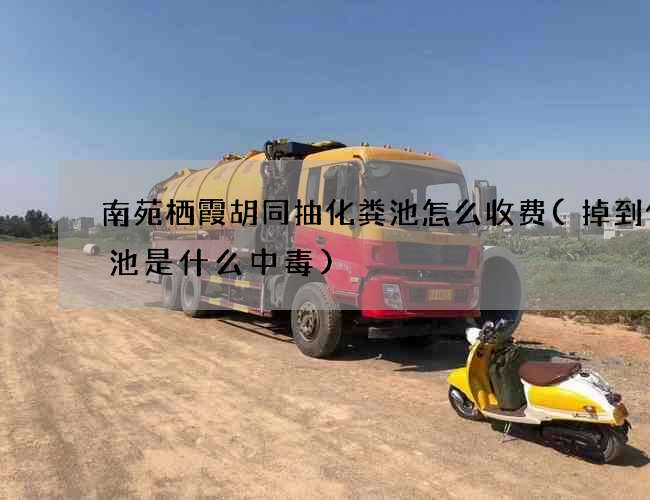 南苑栖霞胡同抽化粪池怎么收费(掉到化粪池是什么中毒)