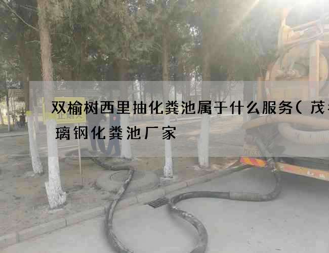 双榆树西里抽化粪池属于什么服务(茂名玻璃钢化粪池厂家) 双榆树西里抽化粪池属于什么服务(茂名玻璃钢化粪池厂家)