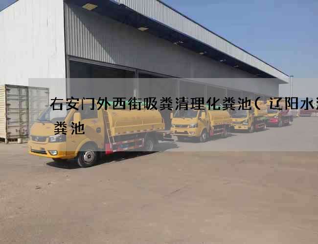 右安门外西街吸粪清理化粪池(辽阳水泥化粪池) 右安门外西街吸粪清理化粪池(辽阳水泥化粪池)