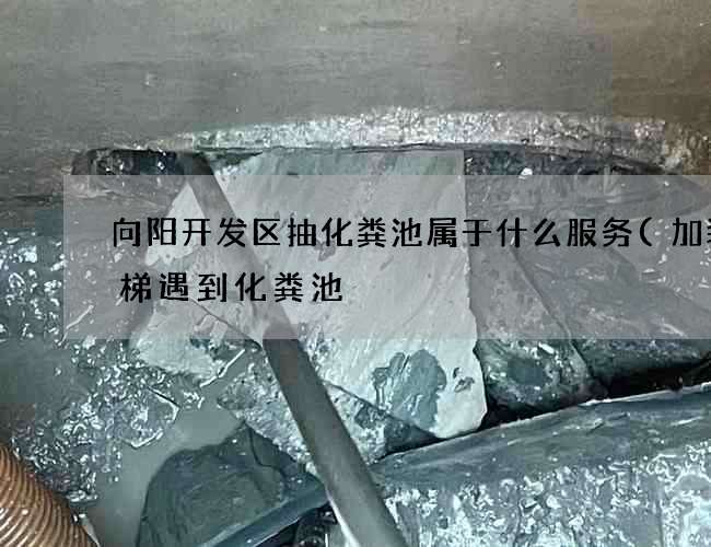 向阳开发区抽化粪池属于什么服务(加装电梯遇到化粪池) 向阳开发区抽化粪池属于什么服务(加装电梯遇到化粪池)
