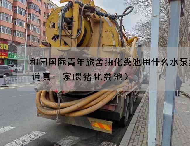 和园国际青年旅舍抽化粪池用什么水泵抽(道真一家喂猪化粪池)