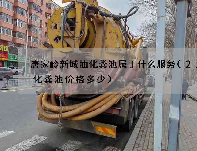 唐家岭新城抽化粪池属于什么服务(2立方化粪池价格多少)