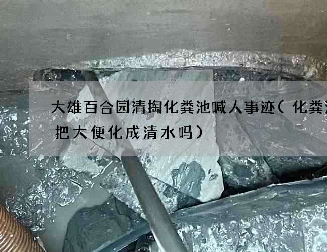 大雄百合园清掏化粪池喊人事迹(化粪池会把大便化成清水吗)